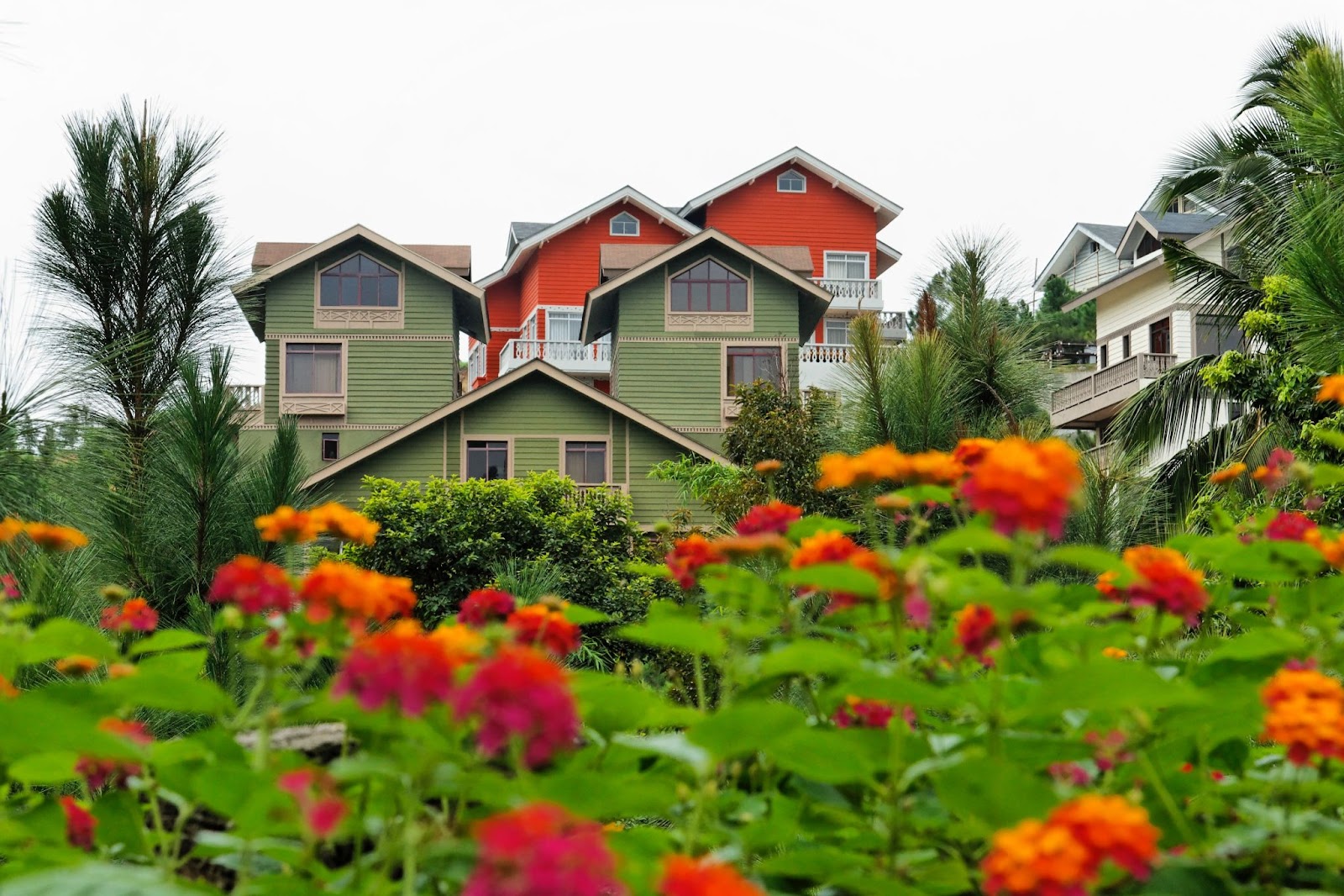 A Sneak Peak To A Beautiful Flower Farm in The Philippines