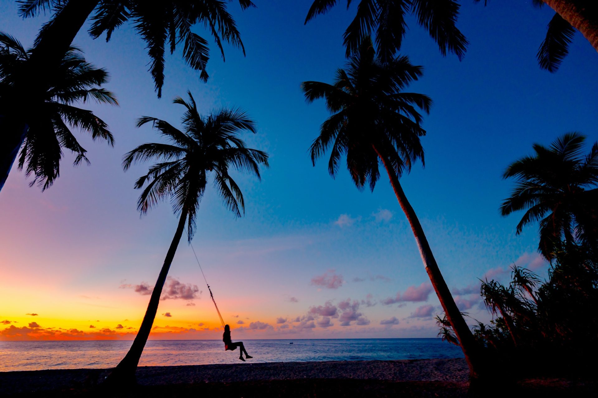 Photo of beach at night with coconut trees and a woman in a swing