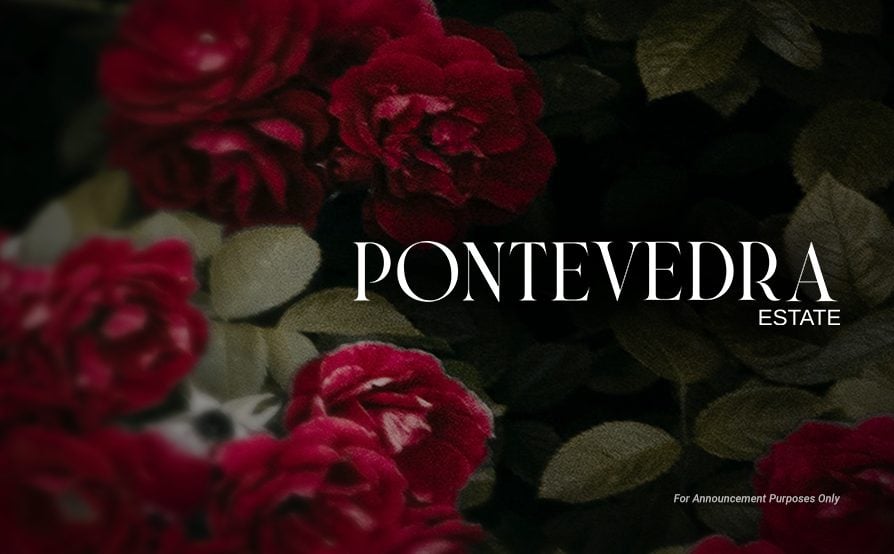 Pontevedra-Property-Type-Thumbnail