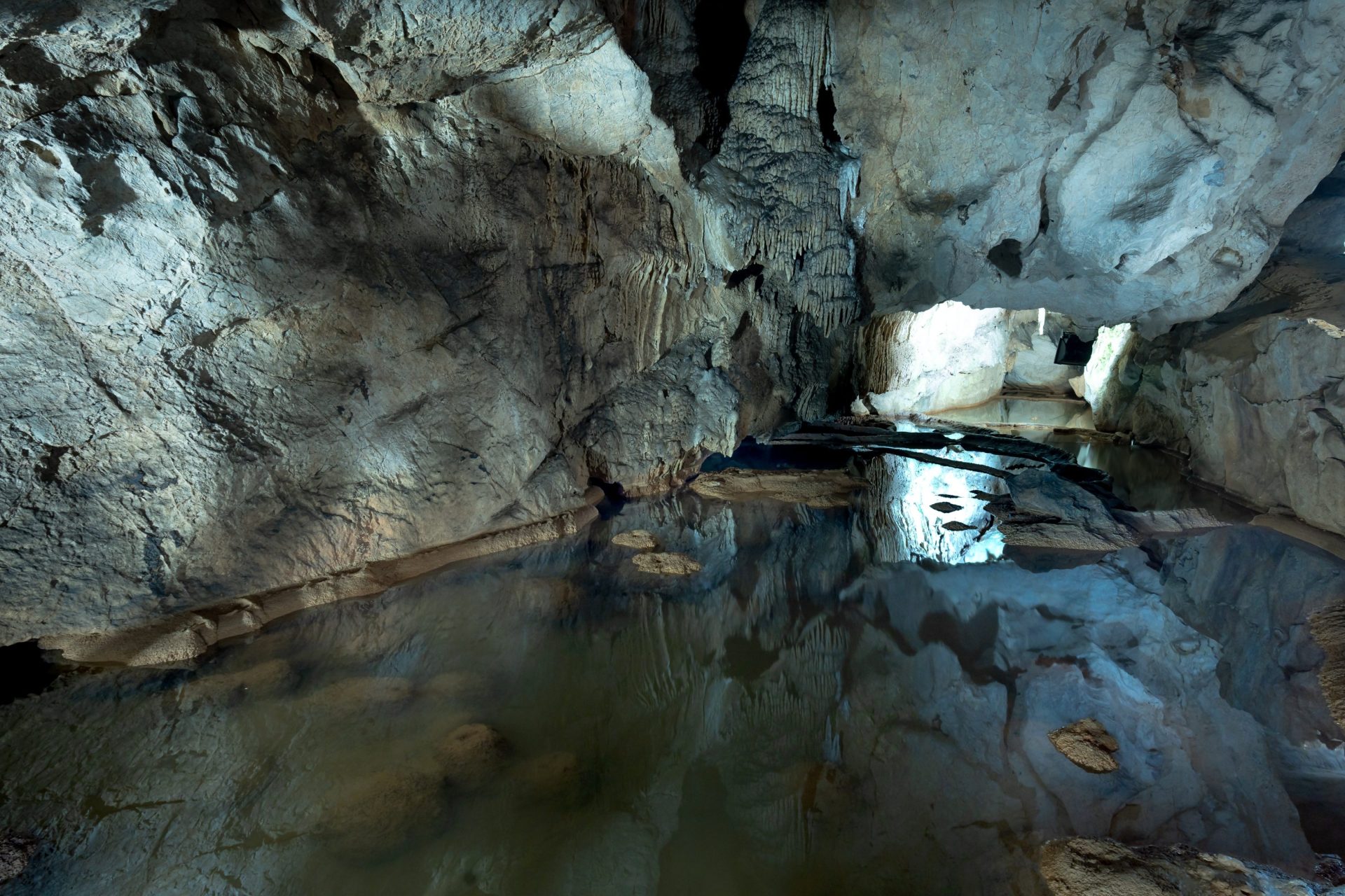 Cave of Forgotten Dreams Movie Review: Journey into the Oldest Art