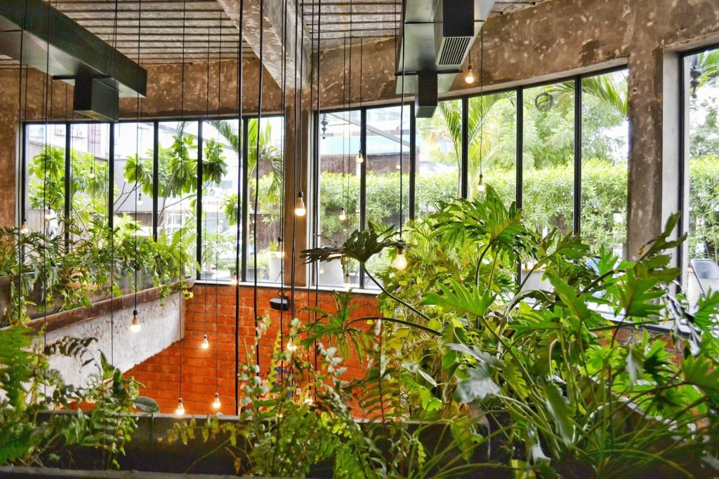 What Are The Benefits Of Biophilic Design