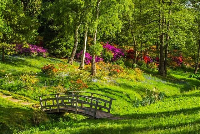 Green Initiatives