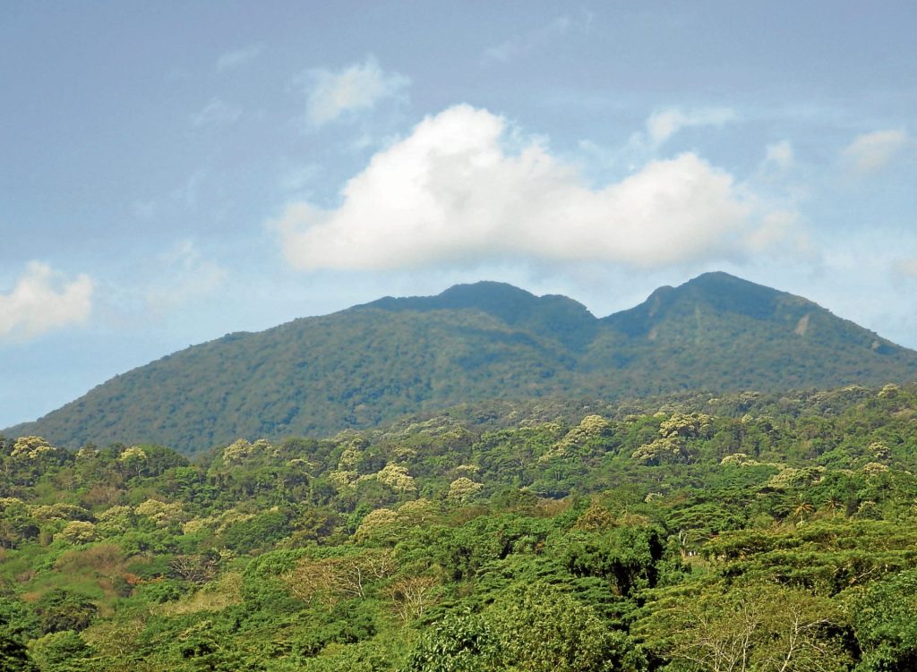 Pievana Best Green Spaces in Santo Tomas