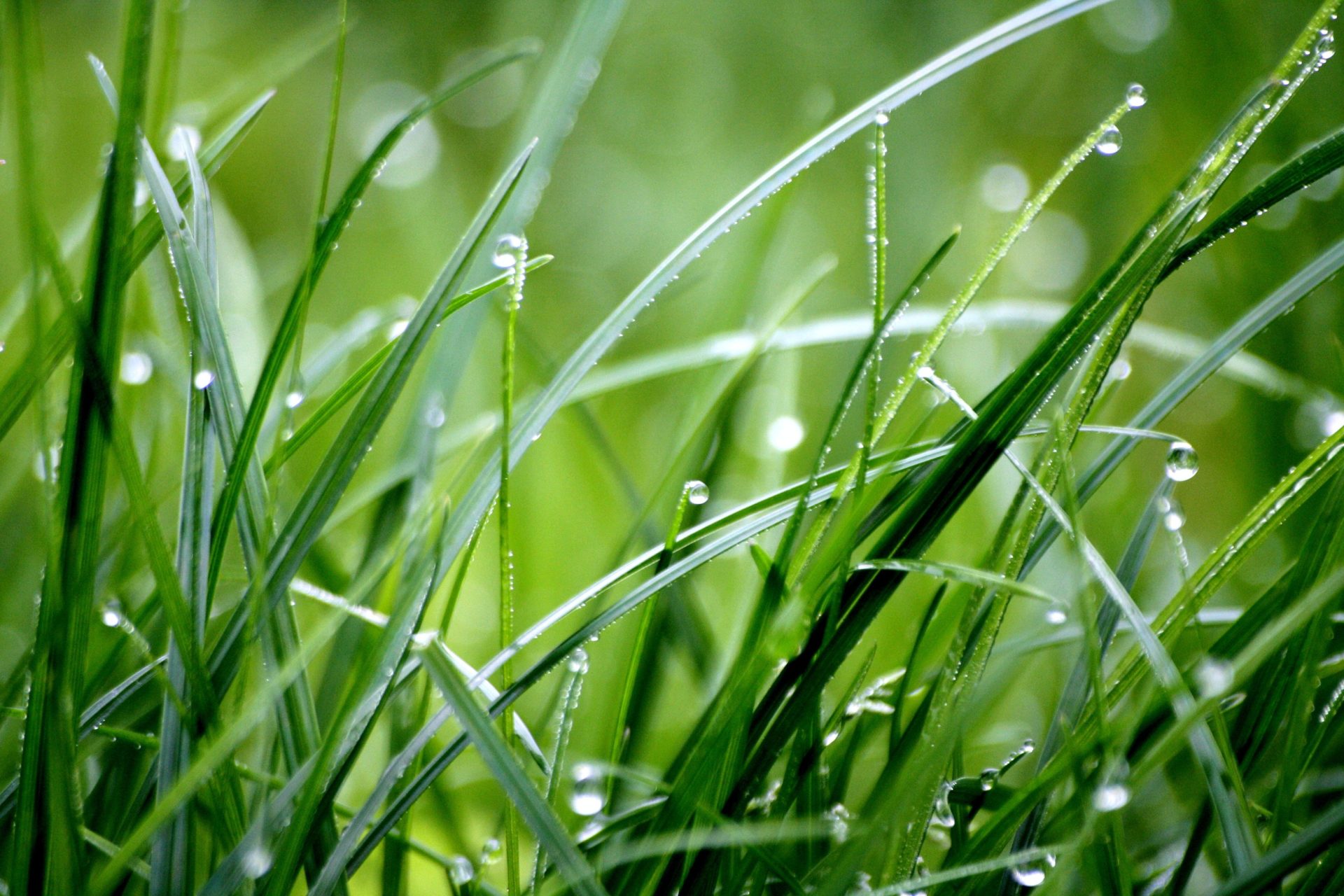 Brittany Santa Rosa Best Green Spaces Brittany