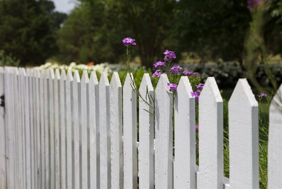 Fence Installation Cost