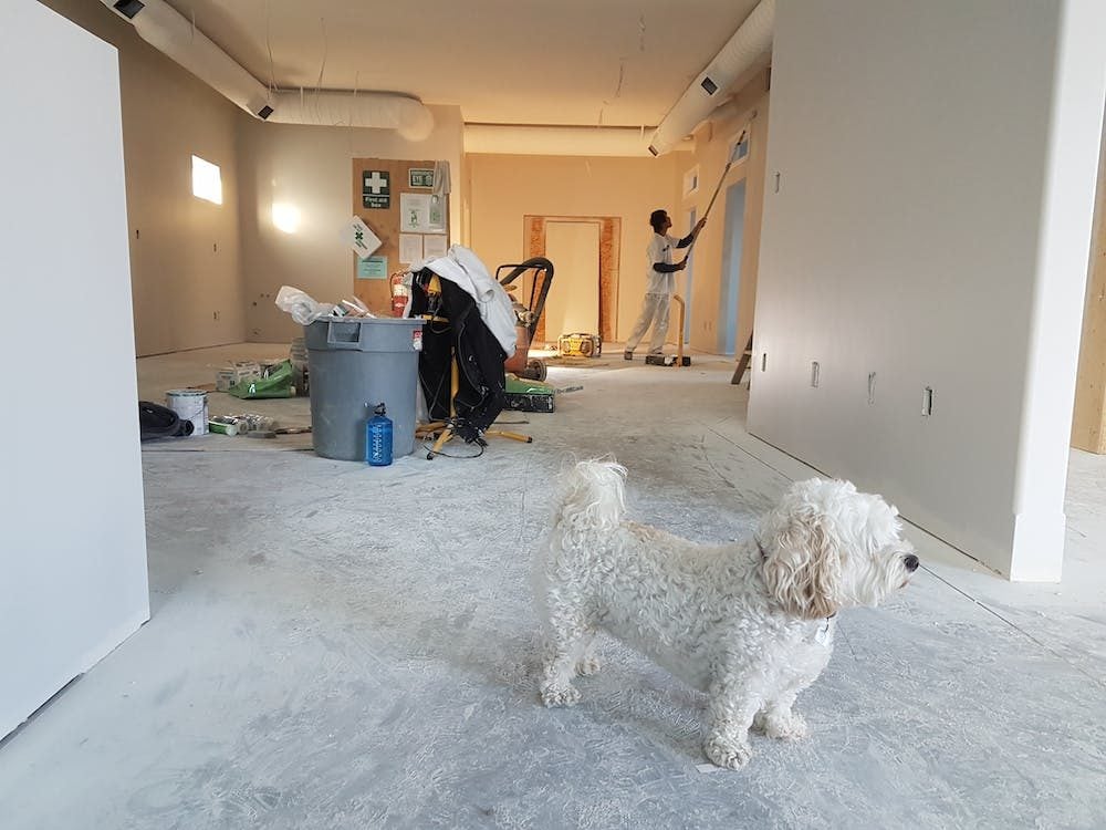 How much does it cost to paint a room per square foot