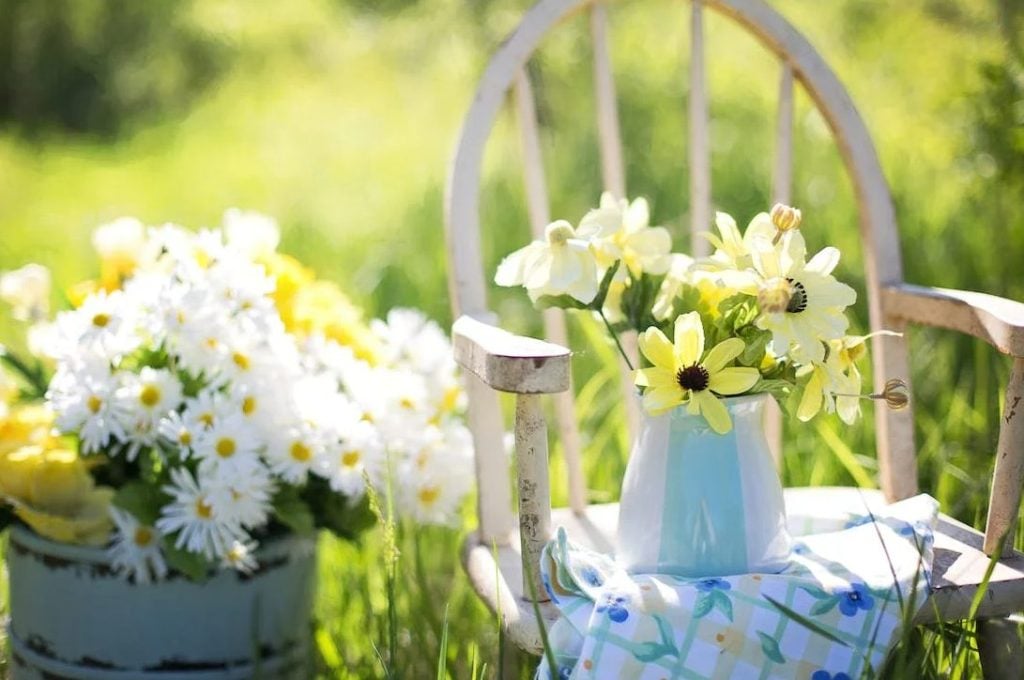 Creating Your Dream Small Garden