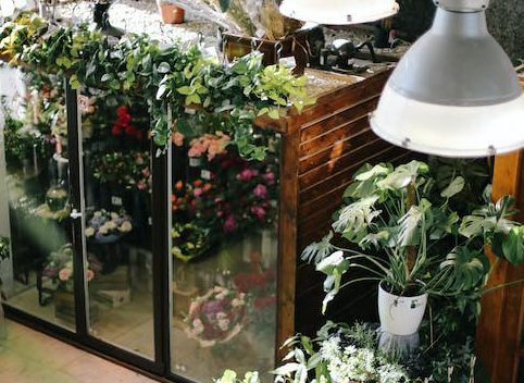 Things to Add in Garden