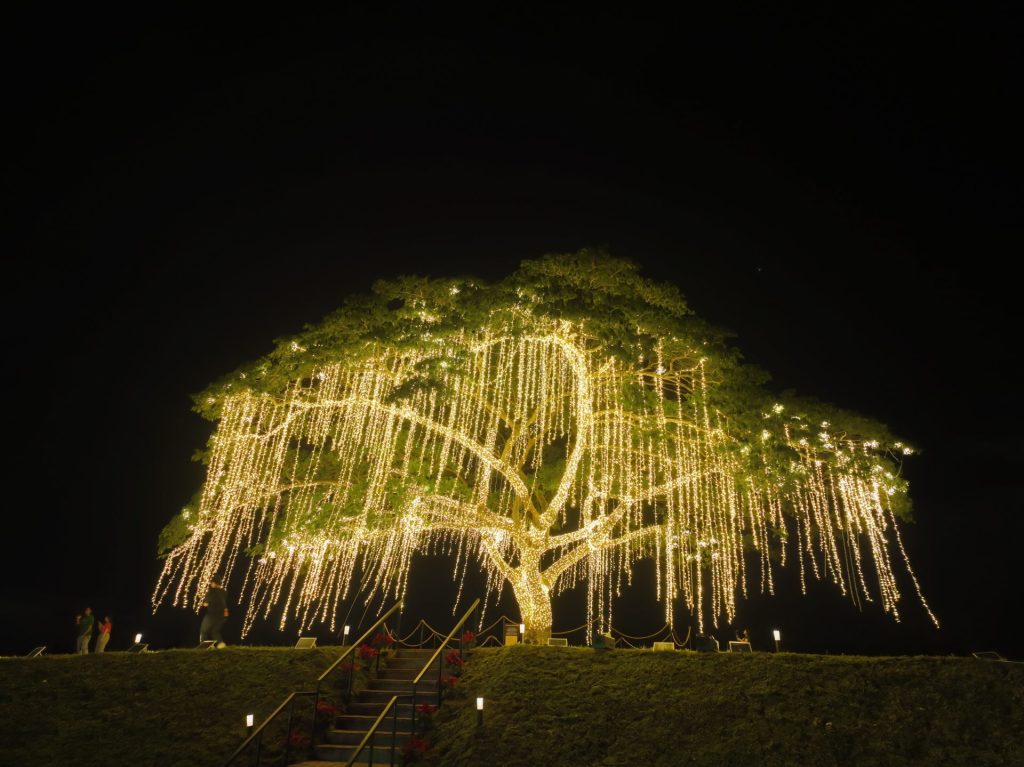 Villar City Heritage Tree Lighting