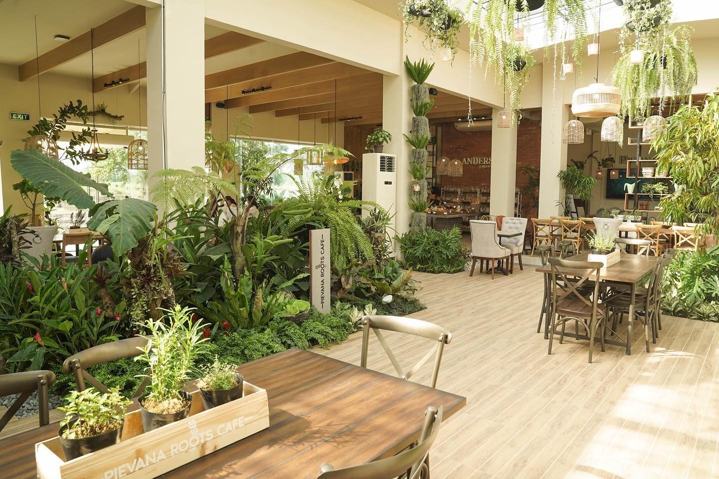Pievana Roots Cafe | Brittany Corporation